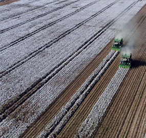 88858cc永利官网(中国)有限公司