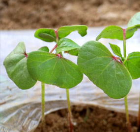 88858cc永利官网(中国)有限公司