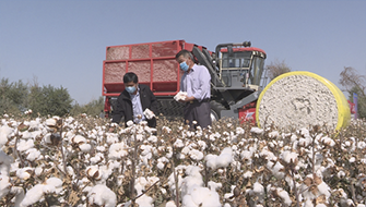 88858cc永利官网(中国)有限公司