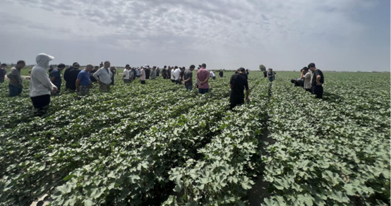 88858cc永利官网(中国)有限公司