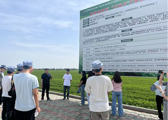 88858cc永利官网(中国)有限公司