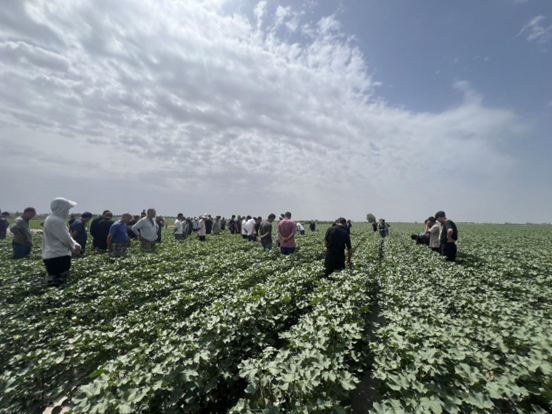 88858cc永利官网(中国)有限公司