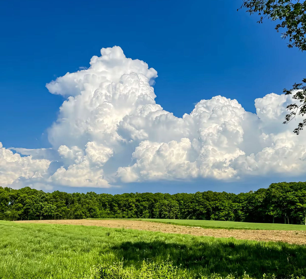 防暑降温与康健防护