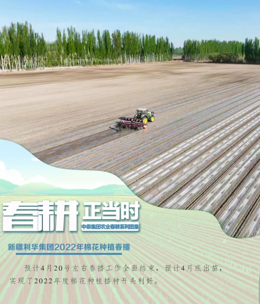 88858cc永利官网(中国)有限公司