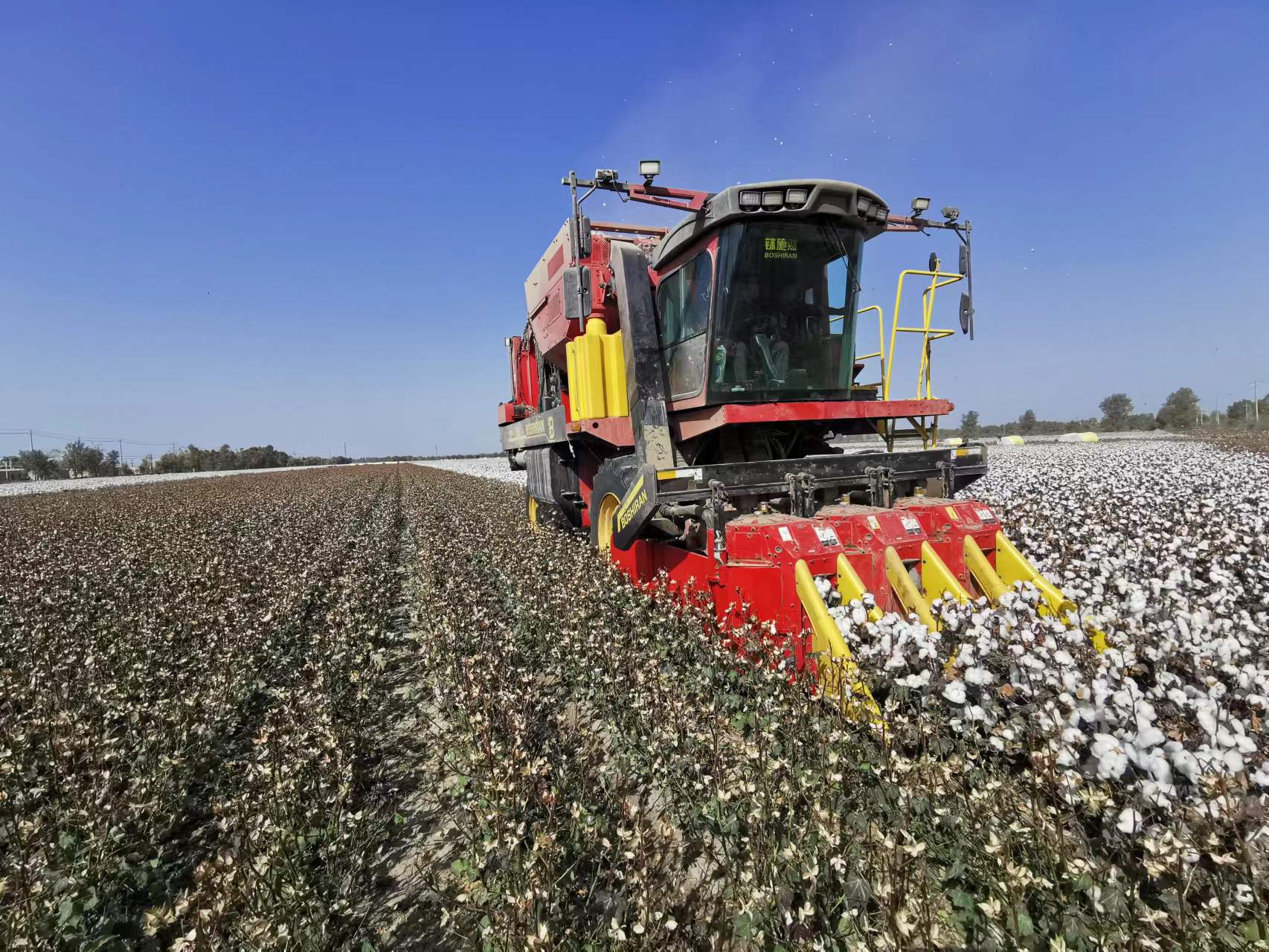 88858cc永利官网(中国)有限公司