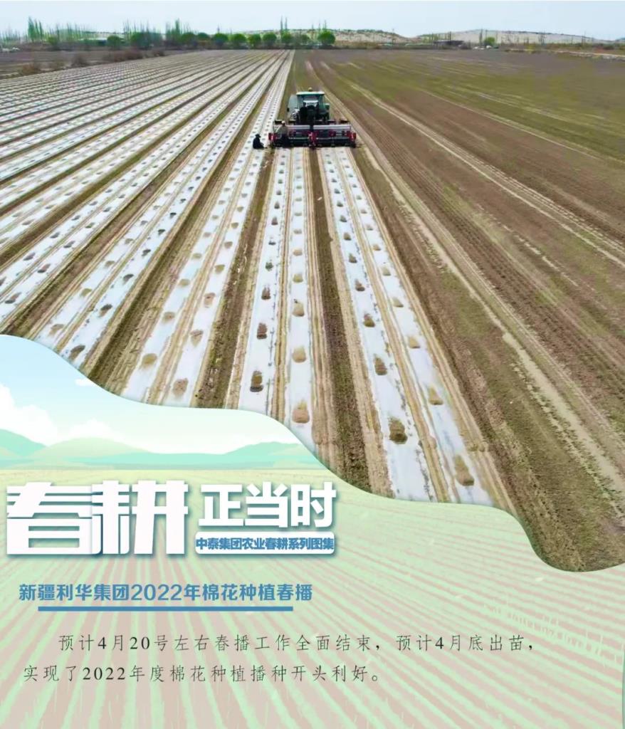 88858cc永利官网(中国)有限公司